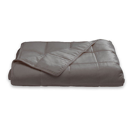 Soft Plush Quilted Weighted Blanket, King Size Weighted Blanket Bed Bath And Beyond