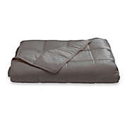Sealy&reg; 12 lb. Soft Plush Quilted Weighted Blanket in Grey