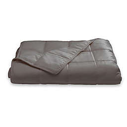 Sealy® 12 lb. Soft Plush Quilted Weighted Blanket in Grey
