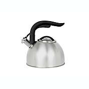 Simply Essential&trade; 2.5 qt. Stainless Steel Tea Kettle