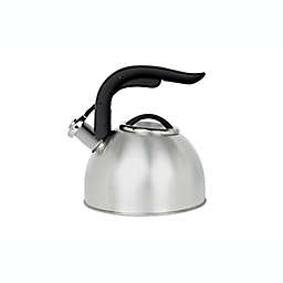 Simply Essential™ 2.5 qt. Stainless Steel Tea Kettle