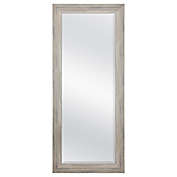 Emma 64.5-Inch x 27.5-Inch Leaner/Wall Mirror in Grey