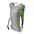 Alternate image 0 for High Sierra&reg; HydraHike 2.0 4-Liter Hydration Backpack in Silver