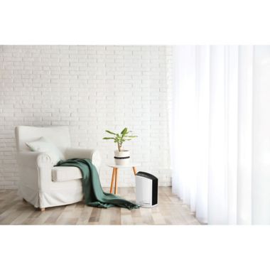 Lasko&reg; HEPA Filter Desktop Air Purifier in White. View a larger version of this product image.