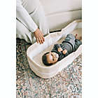 Alternate image 1 for Baby Delight&reg; Snuggle Nest&trade; Organic Portable Infant Lounger in Oatmeal