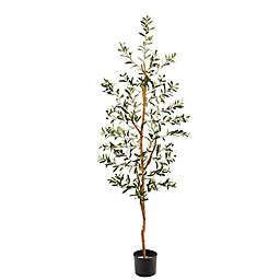 Nearly Natural 66-Inch Olive Tree with Black Pot Planter