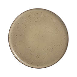Our Table™ Landon Dinner Plate in Toast