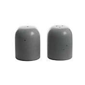 Our Table&trade; Landon Salt and Pepper Shaker Set in Truffle