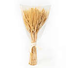 Alternate image 0 for Bee &amp; Willow&trade; 35-Inch Wheat Bundle Decorative Centerpiece in Yellow