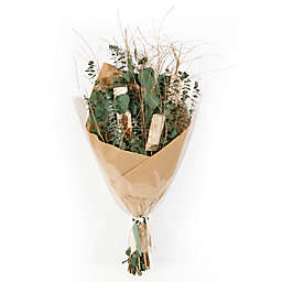 Bee &amp; Willow&trade; Dried Eucalyptus &amp; Birch Bouquet