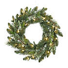 Alternate image 0 for Bee &amp; Willow&trade; 24-Inch Basic Value Artificial Christmas Wreath in Green