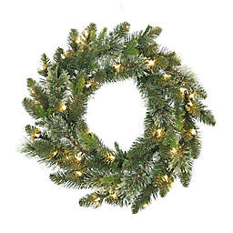 Bee & Willow™ 24-Inch Basic Value Artificial Christmas Wreath in Green