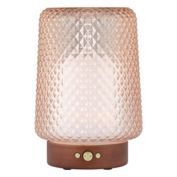 SpaRoom&reg; Dahlia Glass Essential Oil Diffuser in Blush