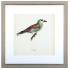 Alternate image 3 for Bee & Willow&trade; Birds 30-Inch x 30-Inch Framed Wall Art (Set of 2)
