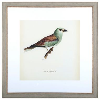Bee & Willow&trade; Birds 30-Inch x 30-Inch Framed Wall Art (Set of 2). View a larger version of this product image.