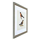 Alternate image 2 for Bee & Willow&trade; Birds 30-Inch x 30-Inch Framed Wall Art (Set of 2)