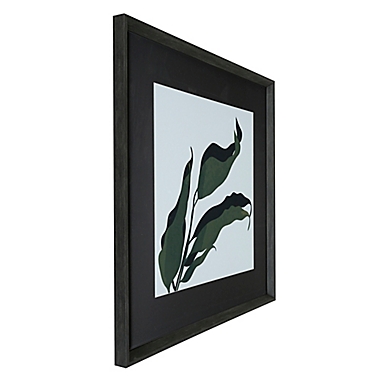 Contrast Botanical 30-Inch x 30-Inch Framed Art Prints (Set of 2). View a larger version of this product image.