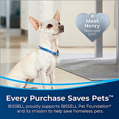 BISSELL&reg; Pet Stain Eraser PowerBrush Deluxe in Silver/Black. View a larger version of this product image.