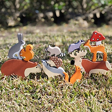 Cassarokids&reg; Waldorf 15-Piece Wooden Forest Animal Set. View a larger version of this product image.