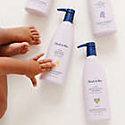 Alternate image 2 for Noodle & Boo&reg; 16 fl. oz. Lavender Extra Gentle Tear-Free Shampoo