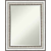 Amanti Art 23-Inch x 29-Inch Salon Framed Wall Mirror in Silver
