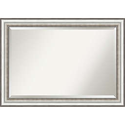 Amanti Art 41-Inch x 29-Inch Salon Framed Wall Mirror in Silver