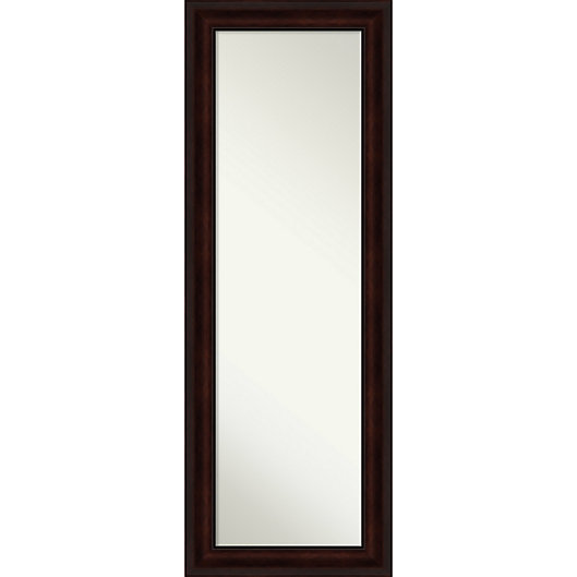 Alternate image 1 for Amanti Art Framed On The Door Mirror