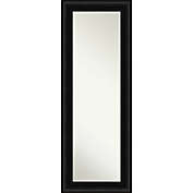 Parlor 20 x 54 Framed On the Door Mirror in Black