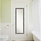 Alternate image 1 for Pinstripe Plank 17-Inch x51-Inch Framed On Door Mirror in Grey