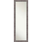 Alternate image 0 for Pinstripe Plank 17-Inch x51-Inch Framed On Door Mirror in Grey