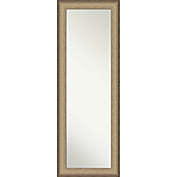 Amanti Art Elegant 19-Inch x 53-Inch Framed On-the-Door Mirror in Brushed Bronze