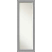 Peak Polished Nickel Framed On Door 18-Inch x 52-Inch Mirror in Silver