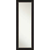 Amanti Art Trio 18-Inch x 52-Inch Framed On Door Mirror in Oil Rubbed Bronze