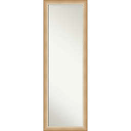 Eva Ombre Framed On the Door 17-Inch x 51-Inch Mirror in Gold