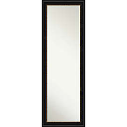 Manhattan Framed On the Door 18-Inch x 52-Inch Mirror in Black