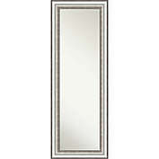 Salon Framed On the Door 19-Inch x 53-Inch Mirror in Silver