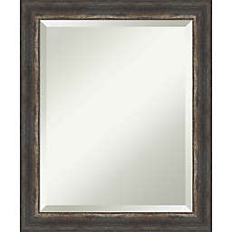 Amanti Art 19-Inch x 23-Inch Bark Rustic Charcoal Framed Wall Mirror in Brown