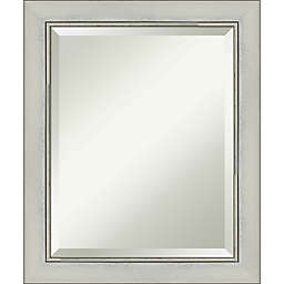 Amanti Art 20-Inch x 24-Inch Flair Patina Framed Wall Mirror in Silver