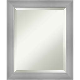 Amanti Art 20-Inch x 24-Inch Polished Nickel Framed Wall Mirror in Silver