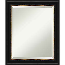 Amanti Art 20-Inch x 24-Inch Manhattan Framed Wall Mirror in Black