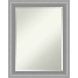 Amanti Art 23-Inch x 29-Inch Polished Nickel Framed Wall Mirror in Silver