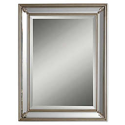 Devan 26-Inch x 34-Inch Mirror in Silver