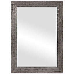 Sloan 26-Inch x 36-Inch Mirror in Silver