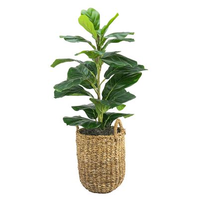 LCG Florals 30&#34; x 16&#34; Artificial Fig Plant in Basket with Handles: Indoor Faux Floor Plant, Polyester, Wicker Basket