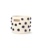 Alternate image 0 for Pehr Pom-Pom Pint Canvas Storage Bin in Fountain Blue