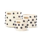 Alternate image 1 for Pehr Pom-Pom Pint Canvas Storage Bin in Fountain Blue