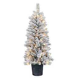 Bee & Willow&trade; 5-Foot Alpine Pre-Lit Artificial Christmas Tree in Green/White
