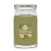 Yankee Candle&reg; Sage &amp; Citrus Signature Collection 2-Wick 20 oz. Jar Candle