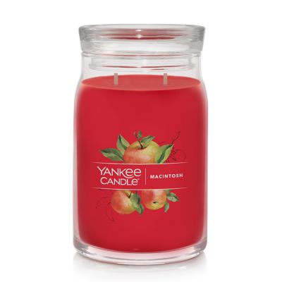 Yankee Candle Sparkling Cinnamon - 22 oz Original Large Jar