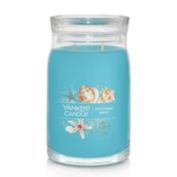 Yankee Candle&reg; Catching Rays Signature Collection 2-Wick 20 oz. Jar Candle